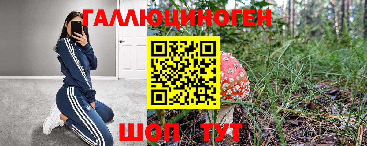 Галлюциногенные грибы Psilocybe  Псилоцибиновые грибы GOLDEN TEACHER  Дербент  Вход с VPN 